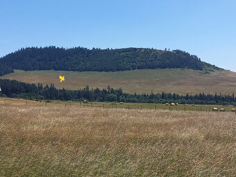 Predaj, investičný, rekreačný, pozemok, veľkosť 2002 m2, k.ú - 5