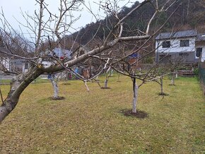 Stavebný pozemok, blízko Košíc, Trebejov. - 5