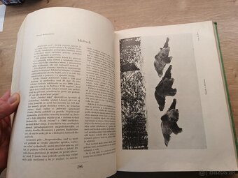 Naše poľovníctvo 1935 - 5