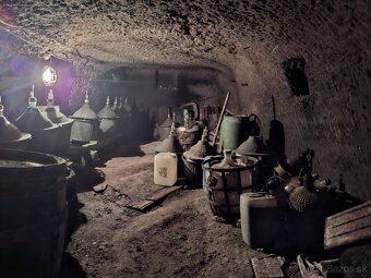 Viničná chata s pozemkom Hronský Beňadik - 5