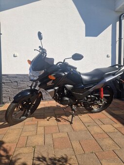 Honda CBF 125 2022 - 5