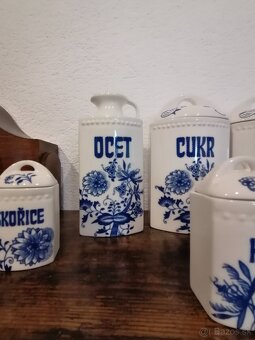 Cibulak koreničky - 5