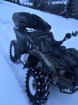 Yamaha grizzly 700 EPS - 5