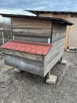 Kurín pre sliepky - 5