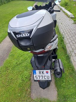 Honda forza 125 - 5