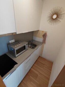 DLHODOBÝ PRENÁJOM / GARSÓNKA / SENICA / - 5