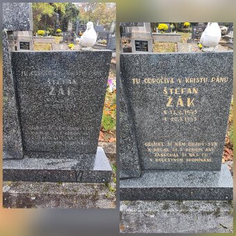 Obnova písma na pomníkoch - 5