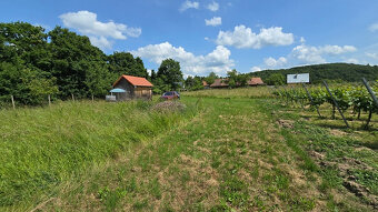 Krásny pozemok s vinicou v Jabloňovciach o výmere 9585 m2 - 5