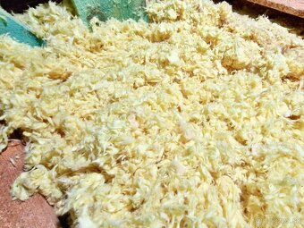 Fukaná Izolácia - 5