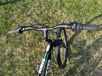 Bicykel CTM Berry “24” - 5