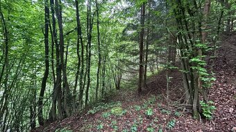 Pozemok Tajov – pokojné miesto pri potoku. - 5