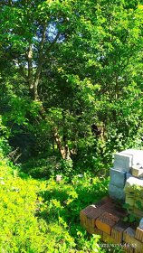 Pozemky v katastri Stará Myjava-len u nás v ponuke - 5