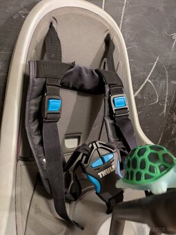 Thule Ride Along - 5