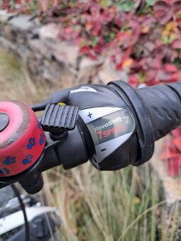 Scott Scale jr 24 - 5