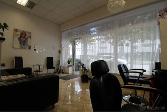 ZARIADENÝ OBCHODNÝ PRIESTOR V BA – PODUNAJSKÉ BISKUPICE - 5