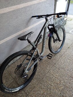 Canyon neuron 6 - 5