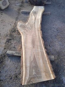 ORECHOVÉ XXL FOSNE NA EPOXID - 5