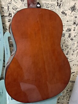 Akustická gitara - Special Edition - Classic - 5