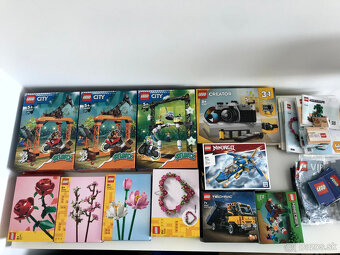 LEGO - rozmanitá sada pre celú rodinu - 5
