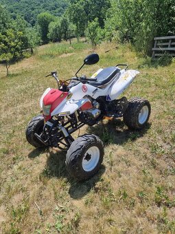 Predam Bashan 250cc - 5