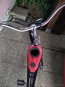 Schwinn - 5