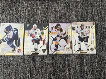 Tipos SHL Sportzoo - 5