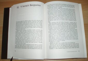 Černý sobol, hnědý medvěd - 5