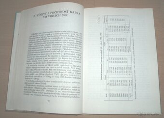 Kapor - 5