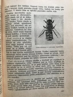 Koloman Novacký: Včelárstvo (1955) - 5