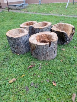 Dutý kmeň na búdky pre vtakov - 5