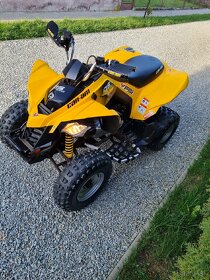 can am ds 250 2015 - 5