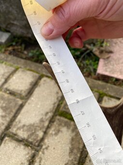 Jelenie zhody / parohy 62cm - 5