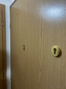 Drevené vchodové dvere - 5