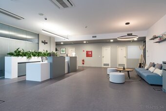 Coworkingový priestor na prenájom v CASSOVARE - 5