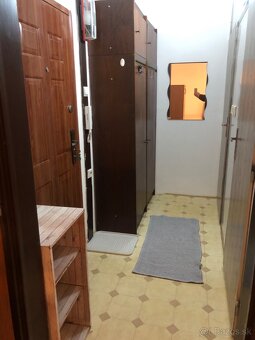 Prenajom 1 izbovy byt Tahanovce - 5