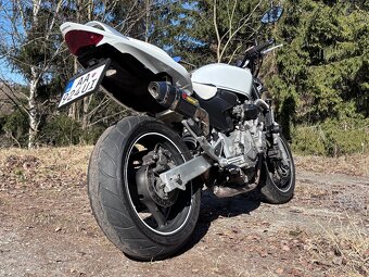 Honda Hornet 600 - 5