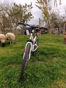 Horsky Bicykel pre dospelých CARBON - 5
