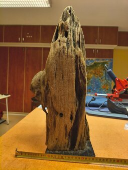 koreň do akvária driftwood - 5