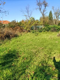 Na predaj starý dom na 19, 7 á pozemku Vráble- zľava - 5