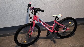 Dievčenský CTM MONY 24 - 5