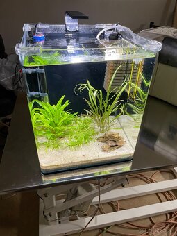 Zabehnuté Dennerle Nano Cube 30 L - 5