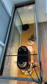 Predám akvárium (terarium) - 5