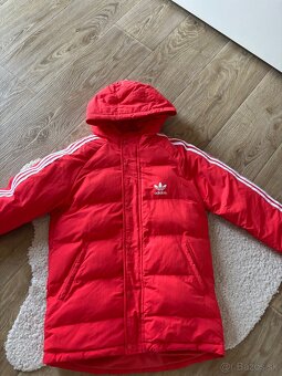 Adidas bunda - 5