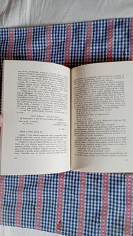 Stará kniha..S partizánmi - 5