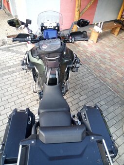 Triumph tiger rally Explorer 1200 - 5