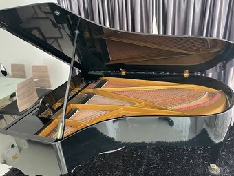 Grotrian-Steinweg - 5