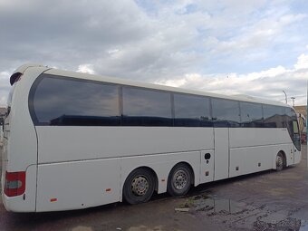 Man lion coach L - 5