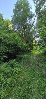 Predaj pozemku 5157 m² – Komárov, okres Bardejov - 5