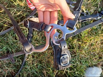 Kentaur, Equiline, F.R.A... - 5