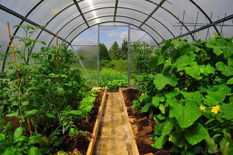 Ponukam brigadu do zahrady - 5